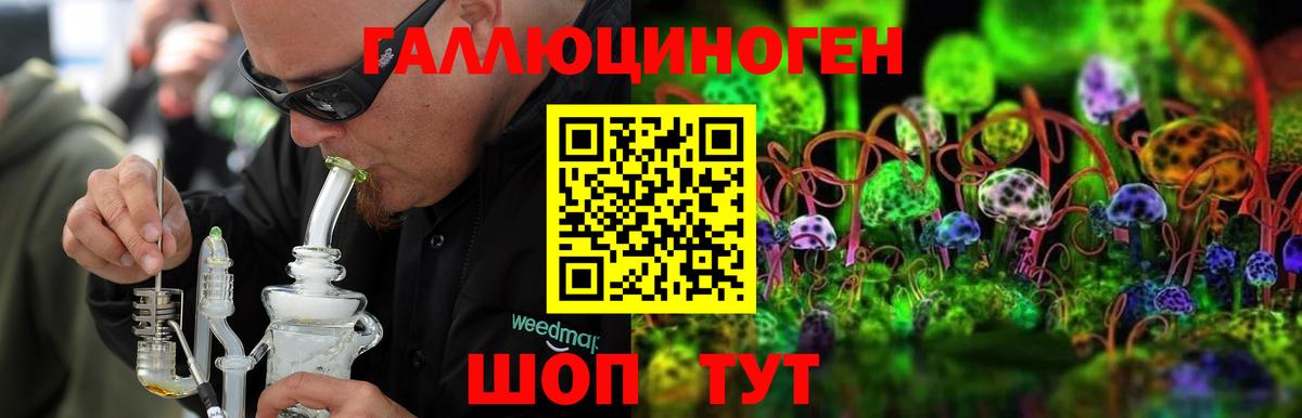 Боровичи  Псилоцибиновые грибы ЛСД  Вход с VPN  Галлюциногенные грибы ЛСД 